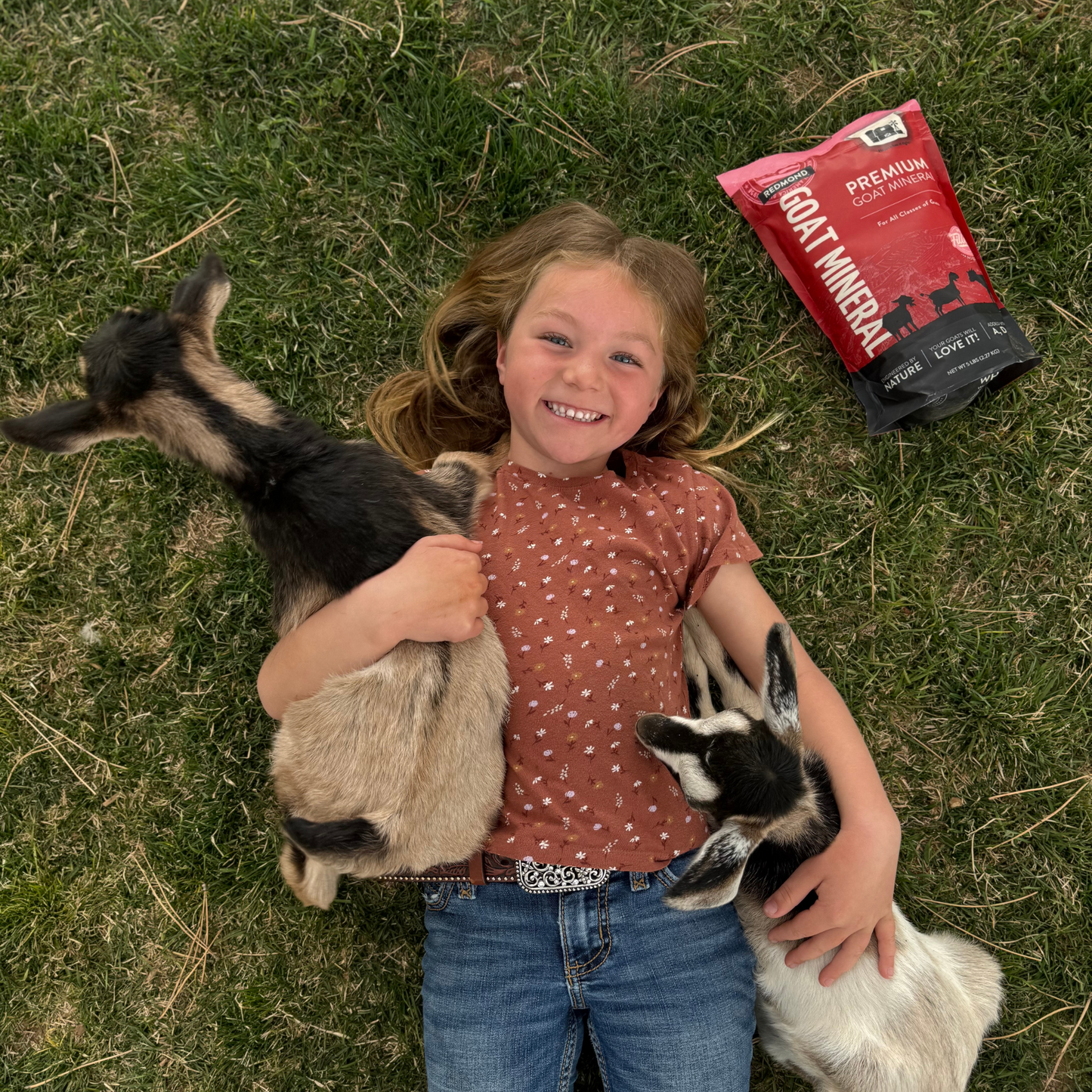 Goat Mineral