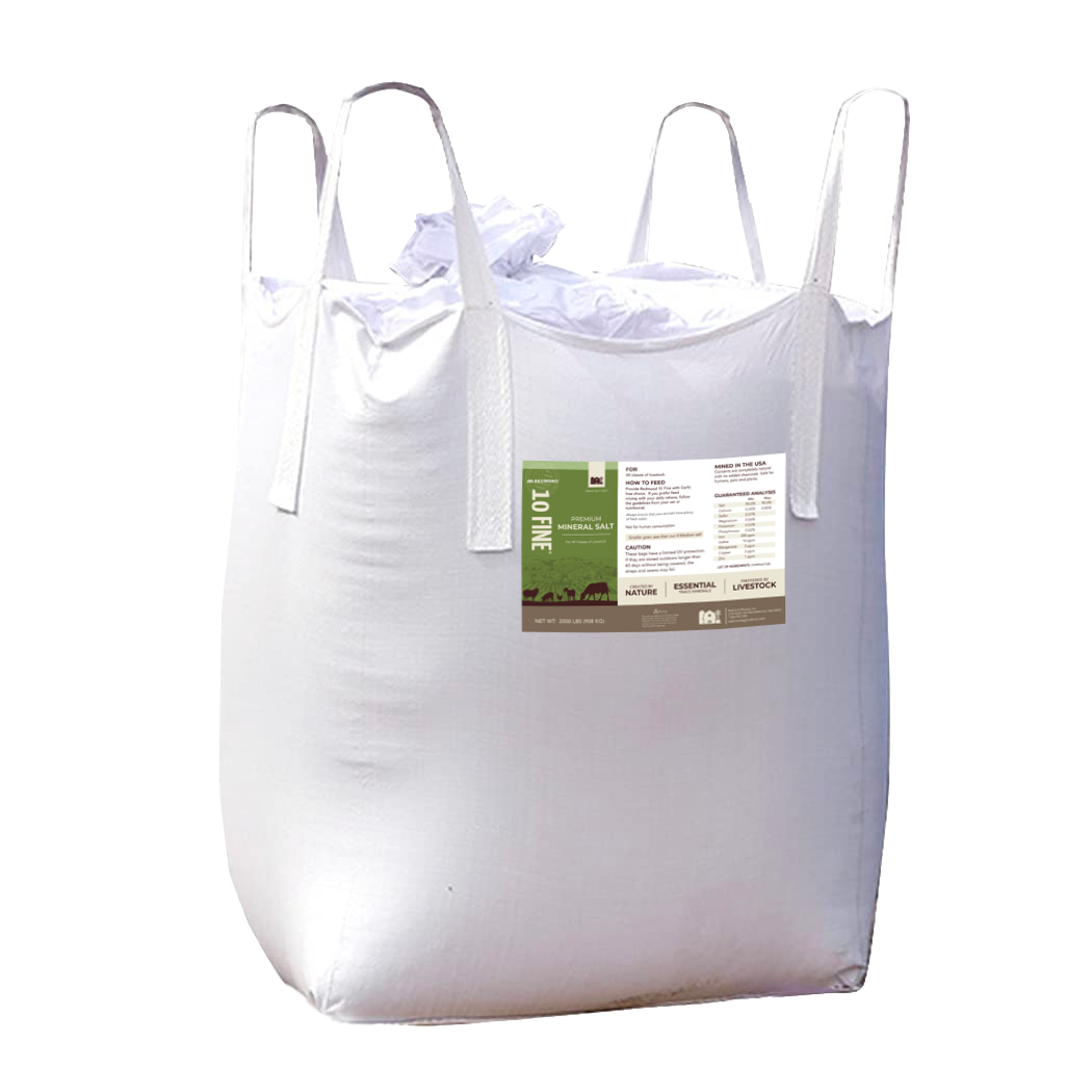 10 Fine - Premium Mineral Salt