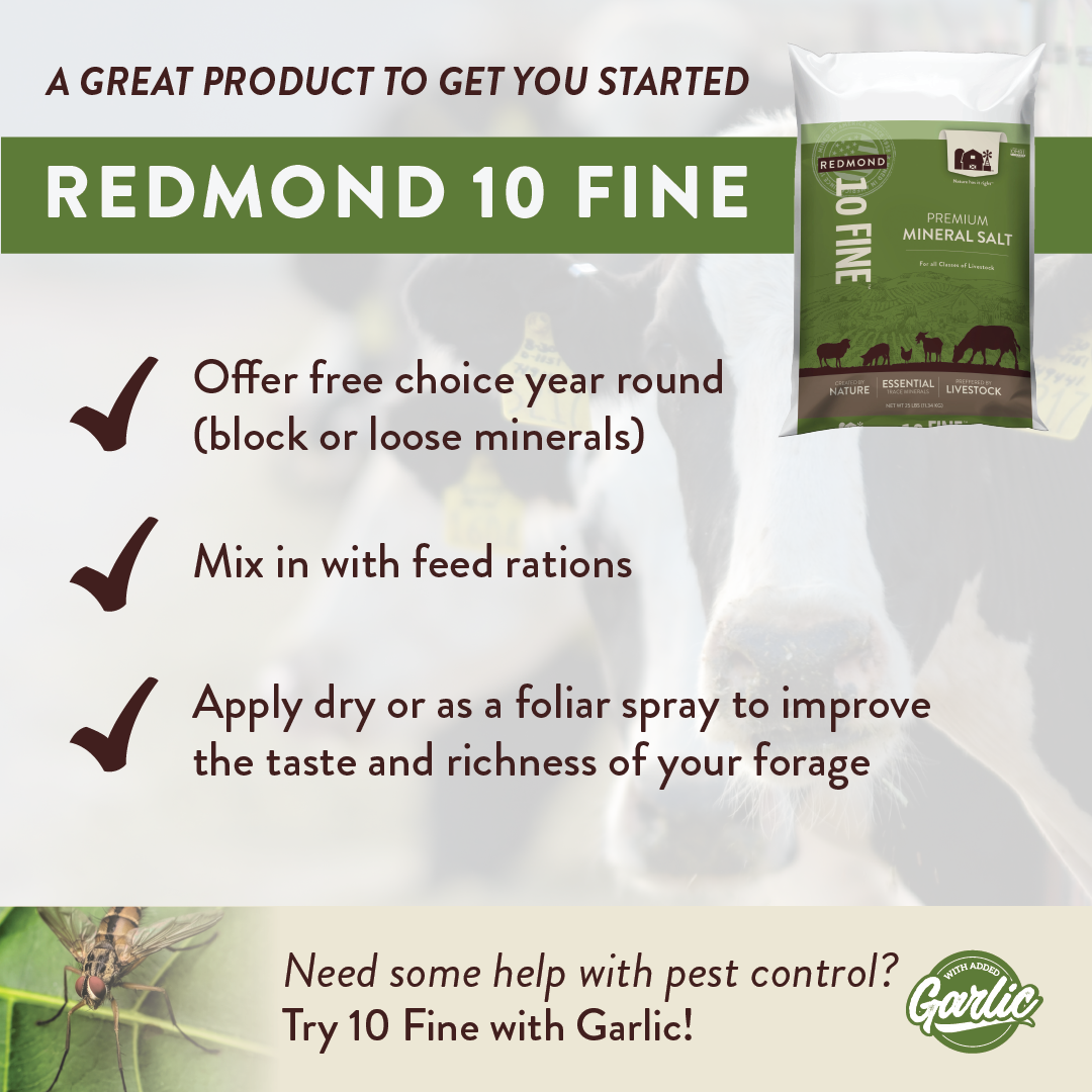 10 Fine - Premium Mineral Salt