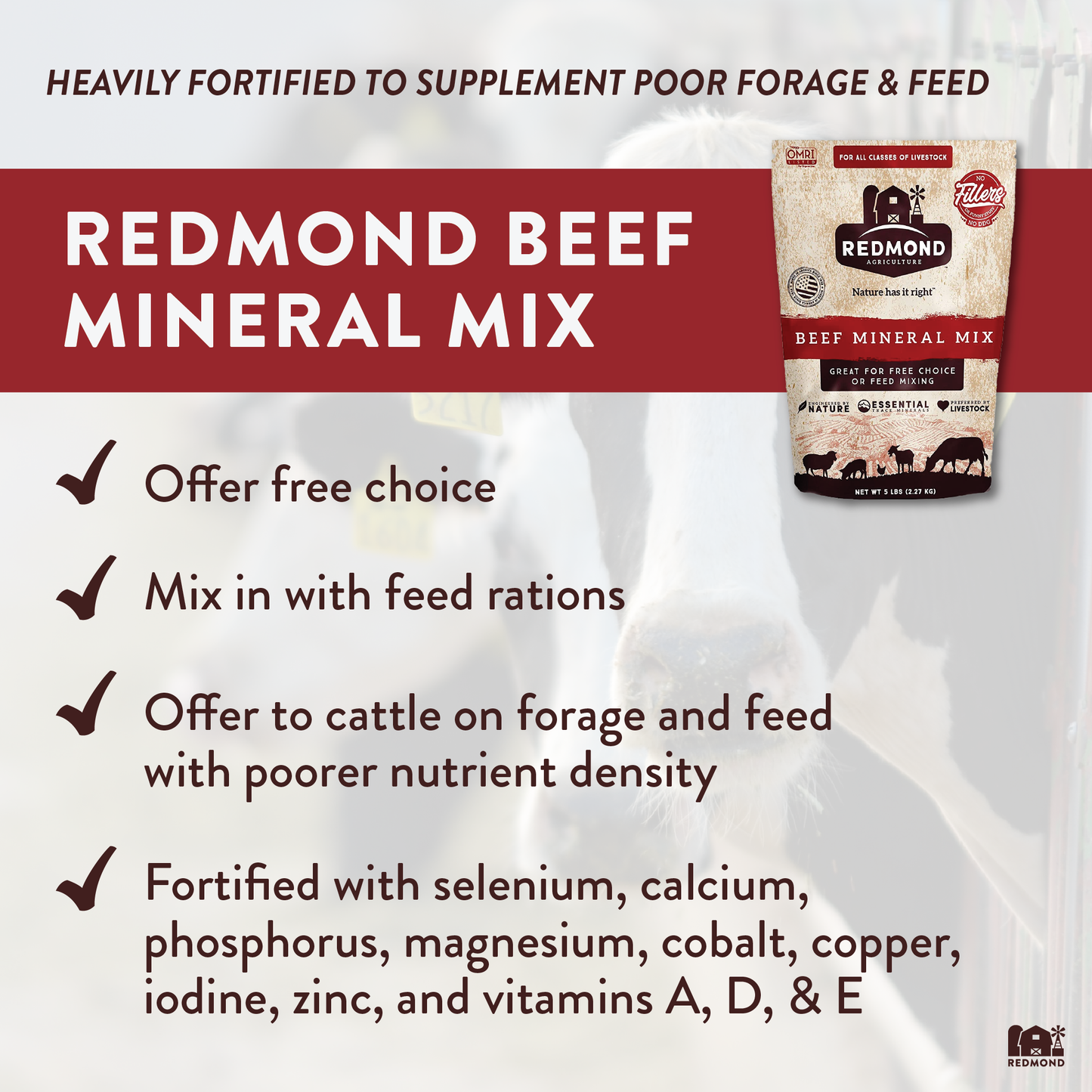 Beef Mineral
